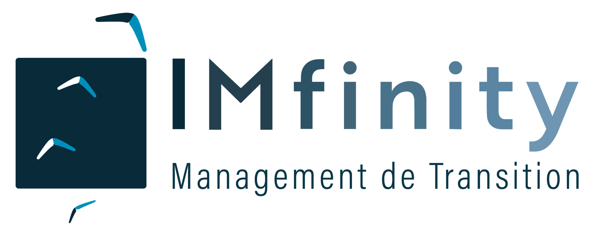 Logo client IMfinity